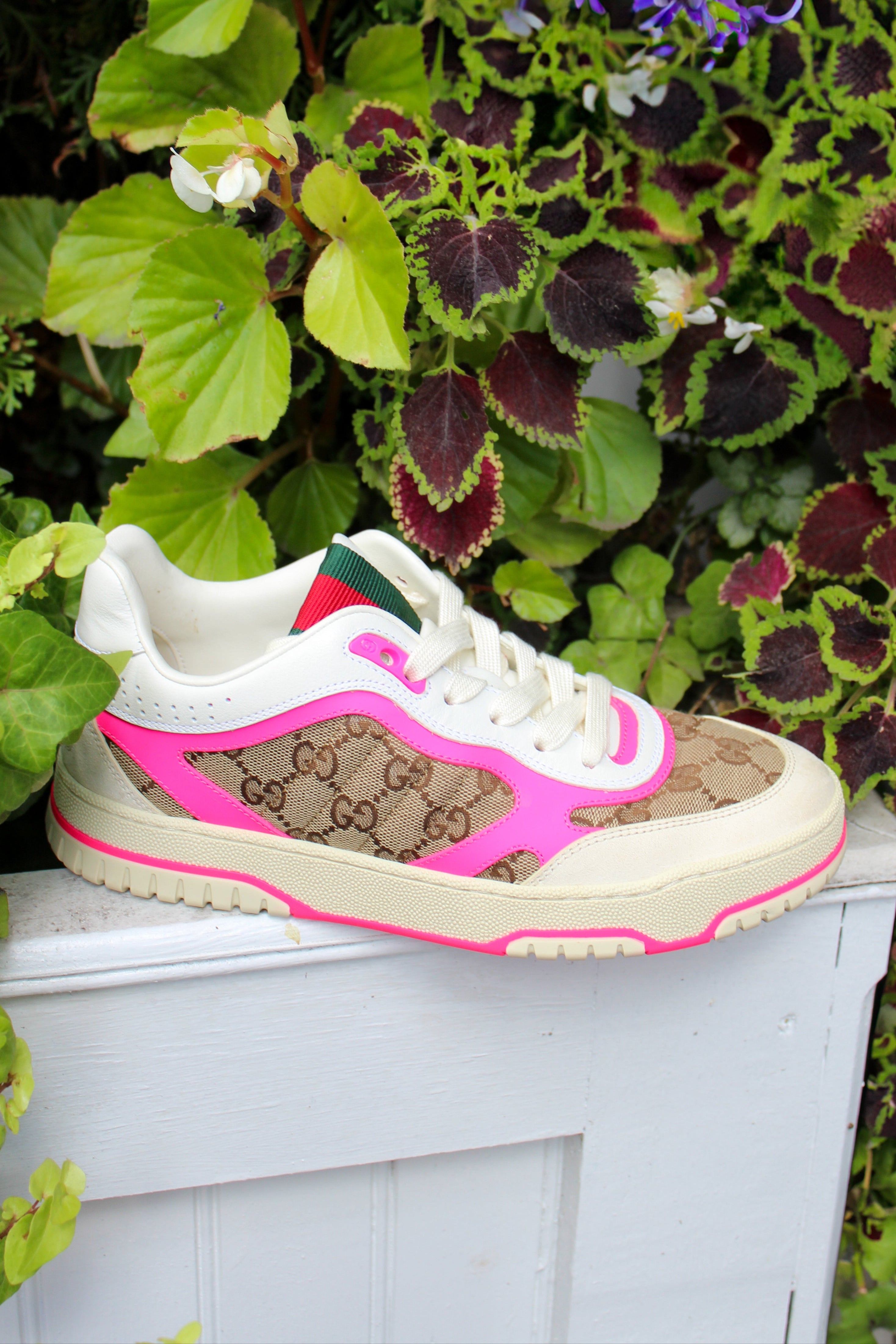 Gucci Sneakers