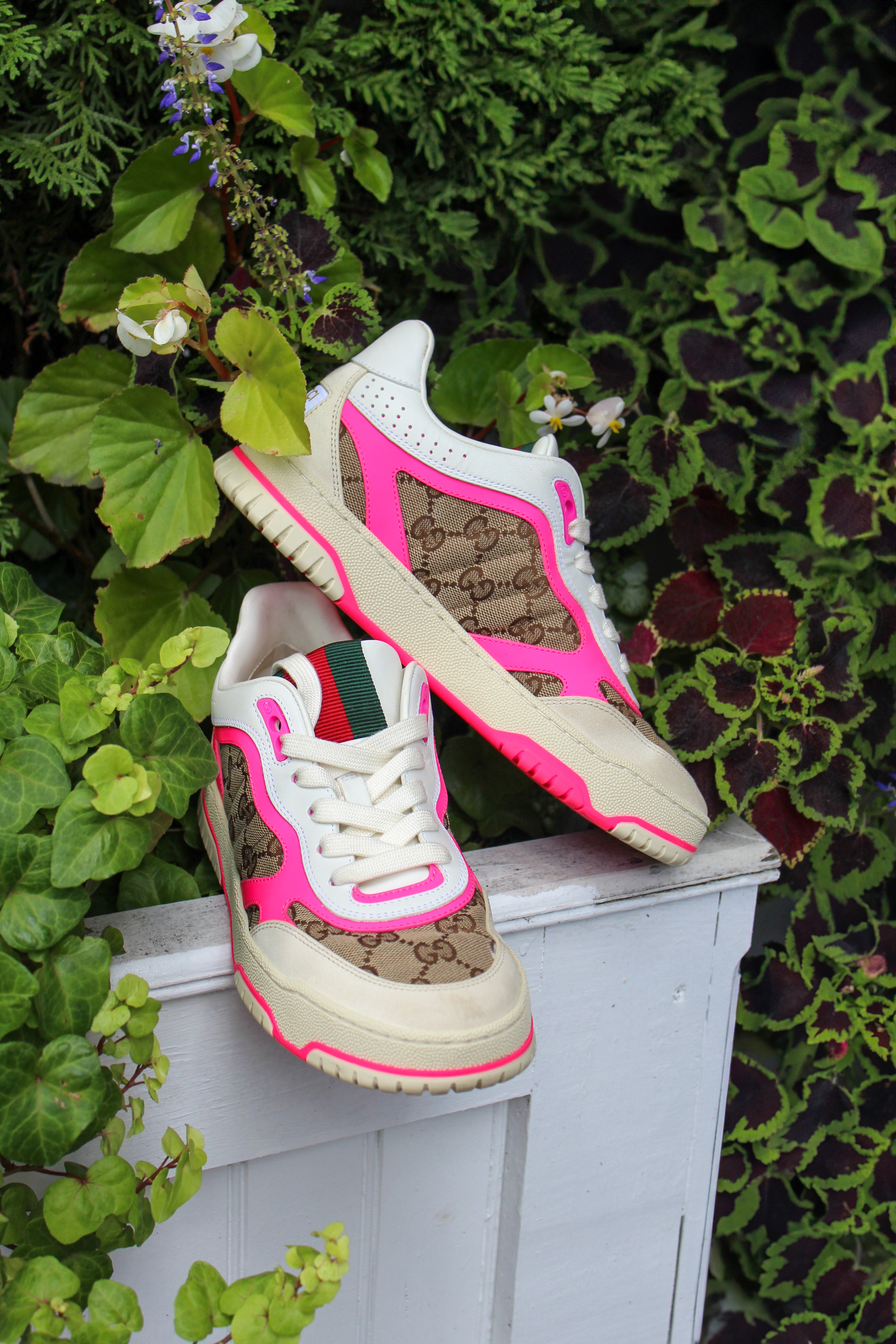 Gucci Sneakers